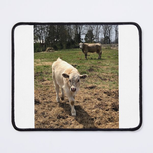 Item preview, The Quiet Charolais designed and sold by With Love, Q.