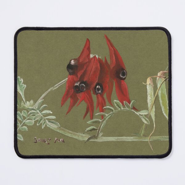 Item preview, Vintage Australian Watercolour - Sturt Pea designed and sold by karwilberevivalcollection.