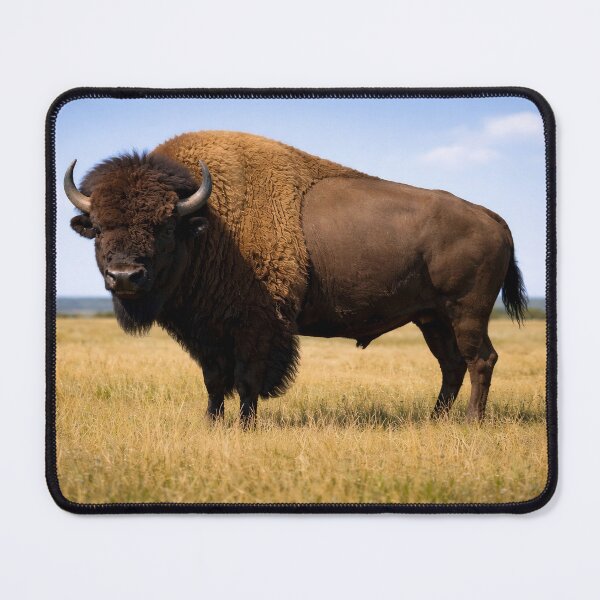 Item preview, American Bison of the Great Plains designed and sold by pmah26.