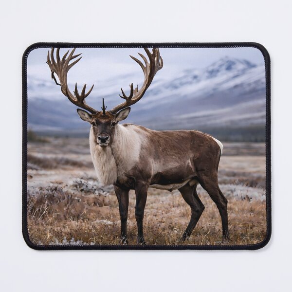 Item preview, Wild Caribou of the Tundra designed and sold by pmah26.