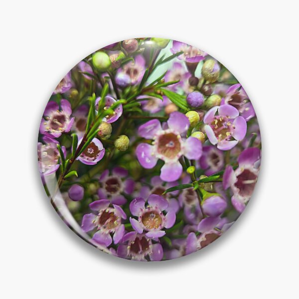 Item preview, Soft Focus designed and sold by Betsy Phillips.