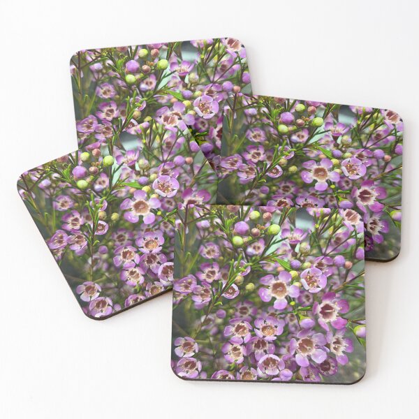 Item preview, Soft Focus designed and sold by Betsy Phillips.