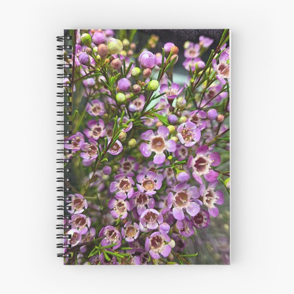 Item preview, Soft Focus designed and sold by Betsy Phillips.