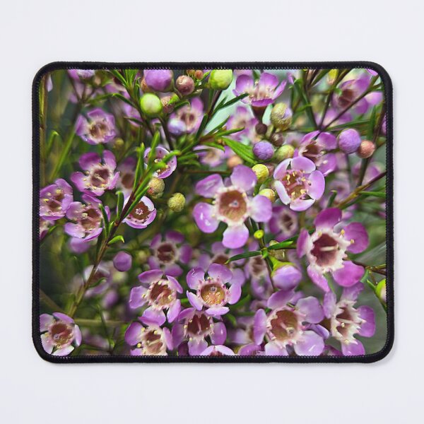 Item preview, Soft Focus designed and sold by Betsy Phillips.