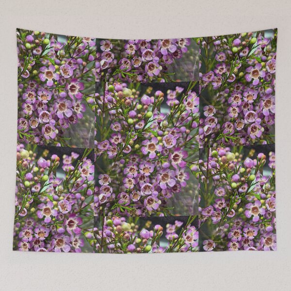 Item preview, Soft Focus designed and sold by Betsy Phillips.