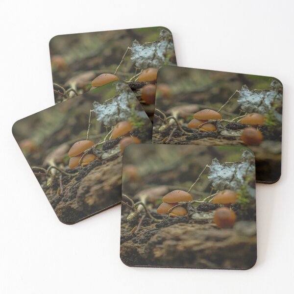 Item preview, Orange Mushrooms Macro Photography designed and sold by TheySeeArtz.
