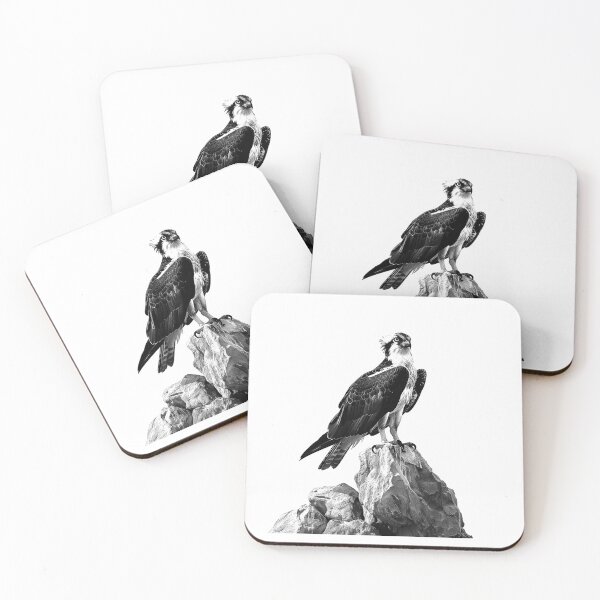 Item preview, Osprey on the Rocks - Black and White Bird of Prey Artwork designed and sold by inkoutninja.