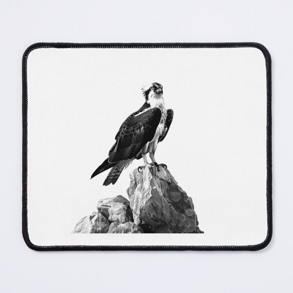 Item preview, Osprey on the Rocks - Black and White Bird of Prey Artwork designed and sold by inkoutninja.