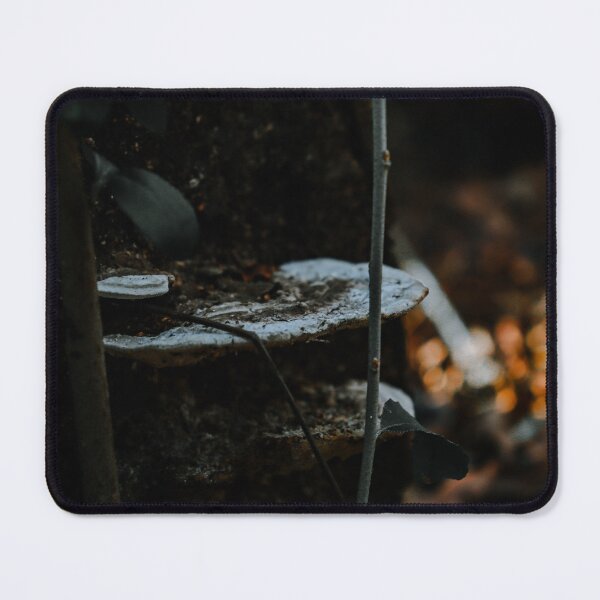 Item preview, Hidden Mushroom Macro Photography designed and sold by TheySeeArtz.