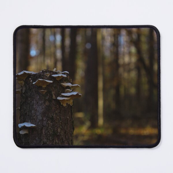 Item preview, Mushrooms on a Dead Tree designed and sold by TheySeeArtz.