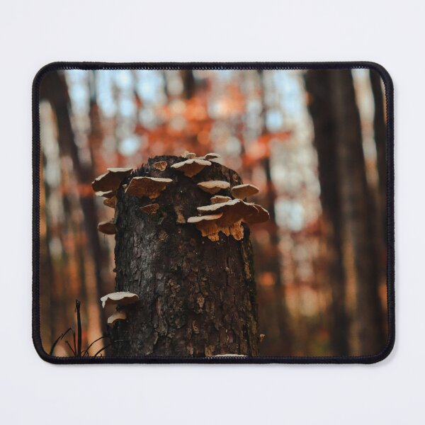 Item preview, Dead Mushroom on a Tree Angle 2 designed and sold by TheySeeArtz.