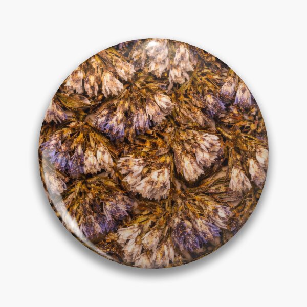 Item preview, Vintage Earth Toned Herbarium Pattern designed and sold by scicilysimonee.