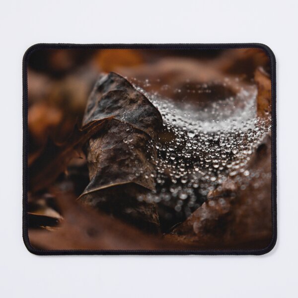Item preview, Dewed up CobWeb in Leaves designed and sold by TheySeeArtz.