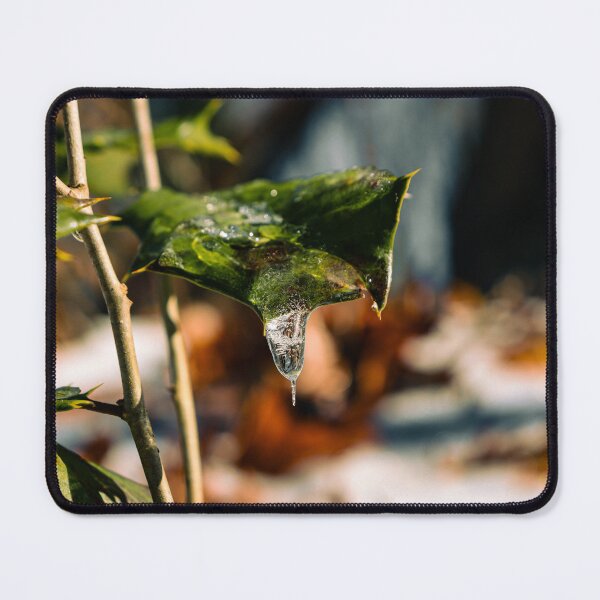 Item preview, Frozen Evergreen Leaf designed and sold by TheySeeArtz.