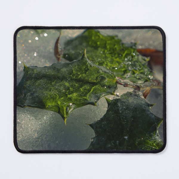 Item preview, Frozen Evergreen Leaves Angle 2 designed and sold by TheySeeArtz.