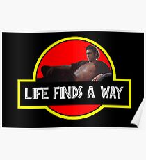 Life Finds A Way Poster