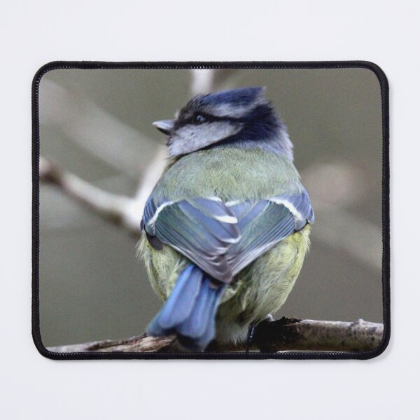 Item preview, Blue Tit designed and sold by KathleenDawson.