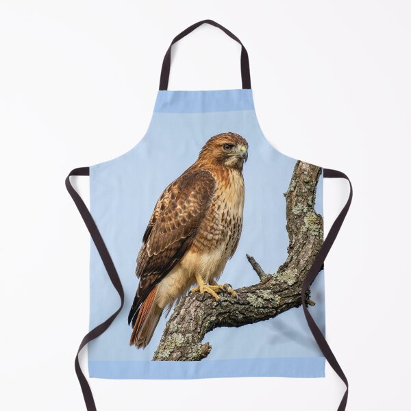Item preview, Red-Tailed Hawk on Oak Branch designed and sold by Tridentulus.