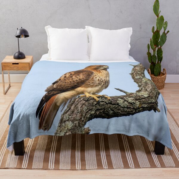 Item preview, Red-Tailed Hawk on Oak Branch designed and sold by Tridentulus.