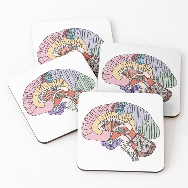 Item preview, Vintage Labeled Brain Anatomy designed and sold by ColemanOlmos.