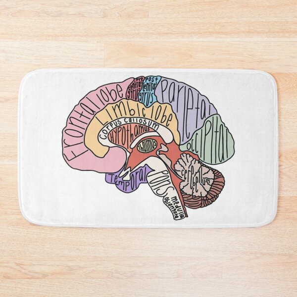 Item preview, Vintage Labeled Brain Anatomy designed and sold by ColemanOlmos.