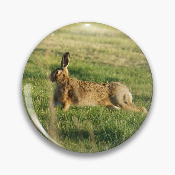 Artikelvorschau, Hedgehope Hare entworfen und verkauft von Oddbells.