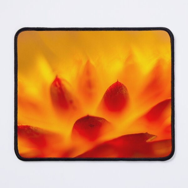 Item preview, Close-Up of Glowing Flower Petals designed and sold by Veikko Suikkanen.