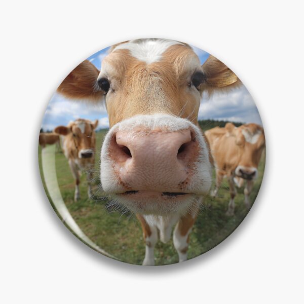 Item preview, Nosey Cow designed and sold by cipoprimo.