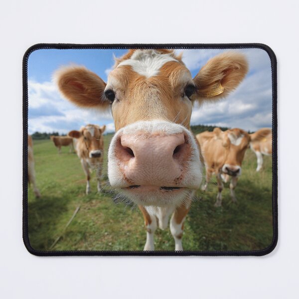 Item preview, Nosey Cow designed and sold by cipoprimo.