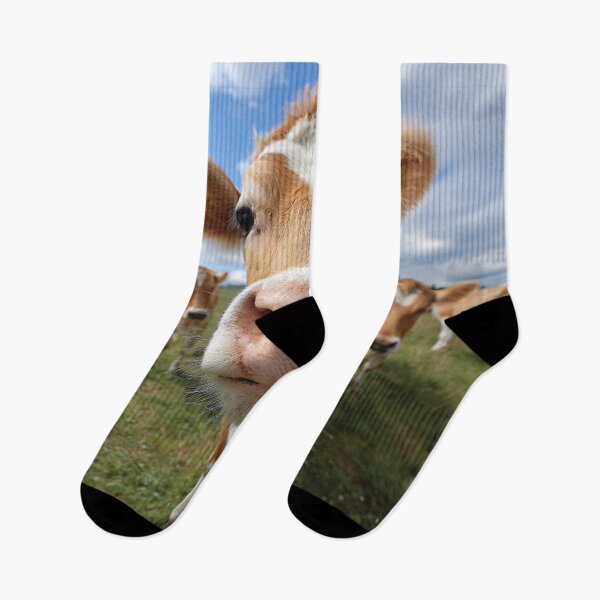 Item preview, Nosey Cow designed and sold by cipoprimo.