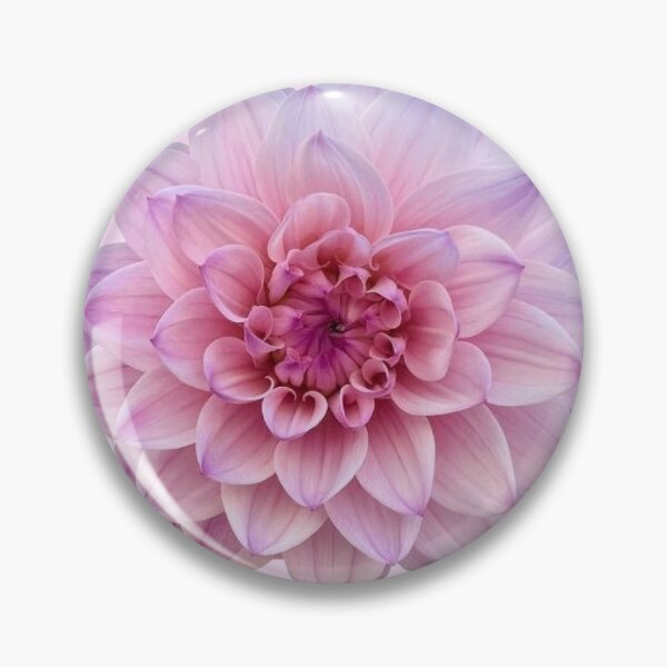 Item preview, pink Dahlia flower sticker designed and sold by inainart.