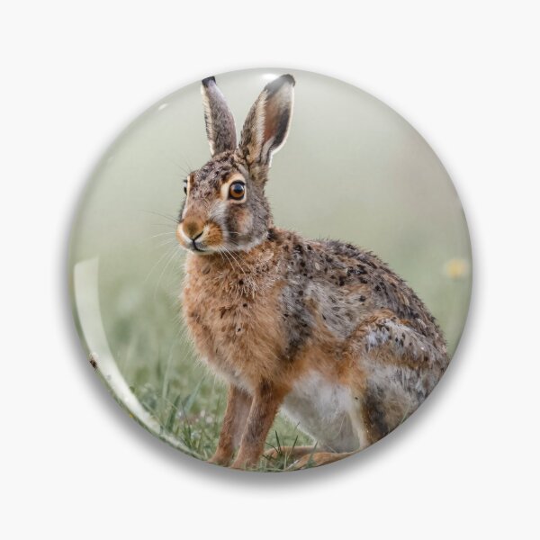 Item preview, Wild hare designed and sold by LilithsDesires.