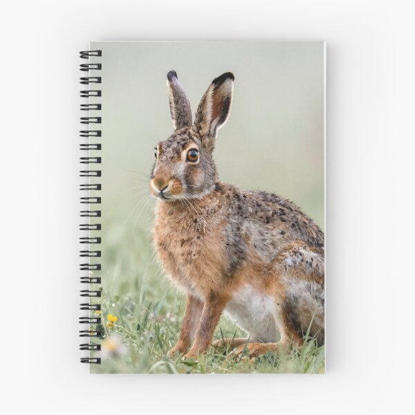 Item preview, Wild hare designed and sold by LilithsDesires.