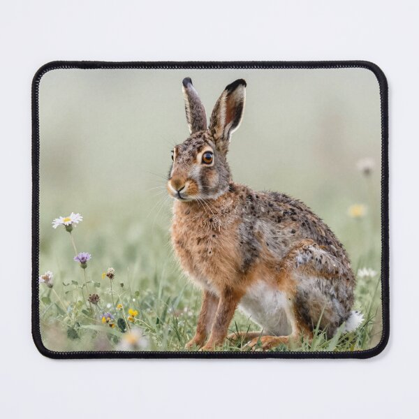 Item preview, Wild hare designed and sold by LilithsDesires.