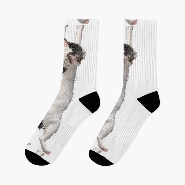 Item preview, Hang On Cat! designed and sold by Miryou.