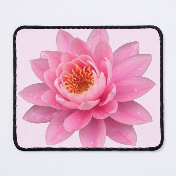 Item preview, water lily lotus flower sticker designed and sold by inainart.