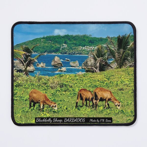 Item preview, Blackbelly Sheep, BARBADOS designed and sold by BajanTees.