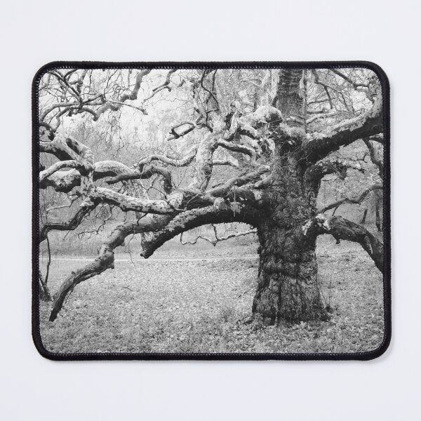 Item preview, Midhurst Tree designed and sold by dagabhriel.