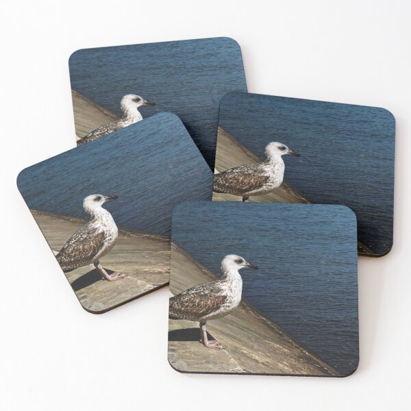 Item preview, A juvenile gull is looking at the sea designed and sold by Alan-David.