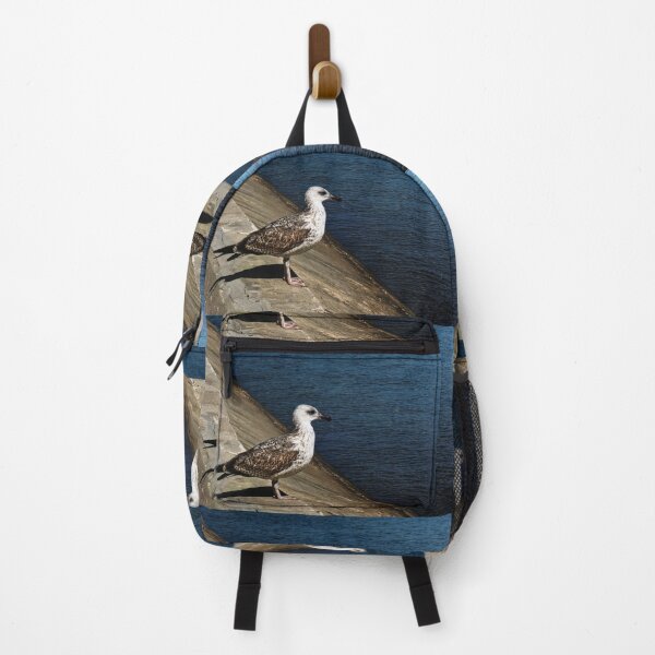 Item preview, A juvenile gull is looking at the sea designed and sold by Alan-David.