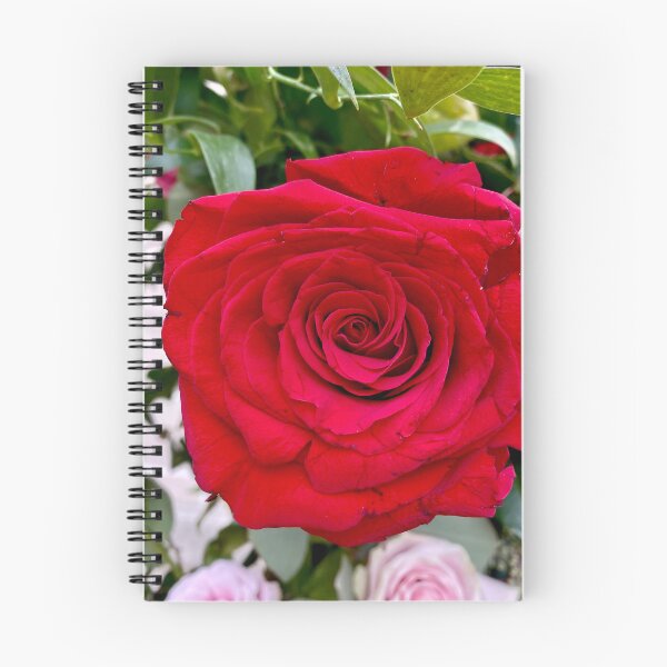 Artikelvorschau, Rote Rose entworfen und verkauft von AJFurey.