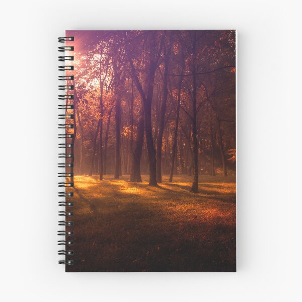 Item preview, Beckoning Autumn Light designed and sold by Jim Love.