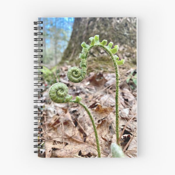 Item preview, Fiddlehead Fern designed and sold by AJFurey.
