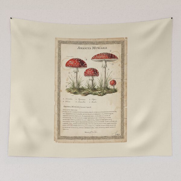 Item preview, Vintage Amanita Muscaria (Fly Agaric) Botanical Print designed and sold by Jeeklsdotcom.