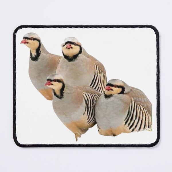 Item preview, Partridges designed and sold by di-Vera-Rosati.