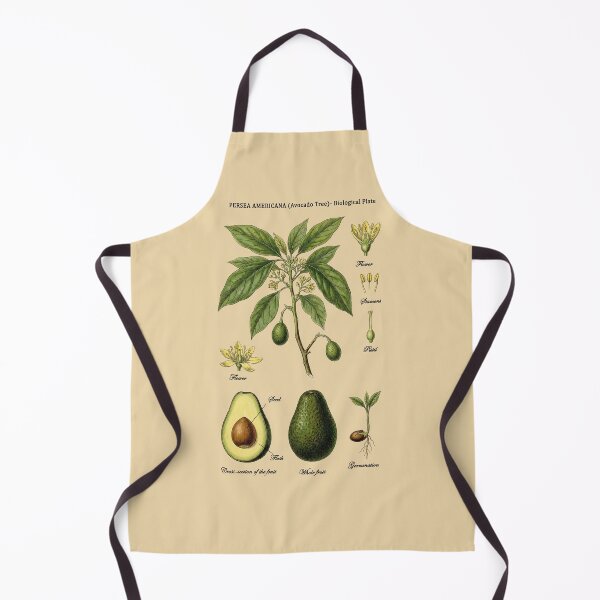 Item preview, Vintage Avocado Persea Americana Botanical Specimen Study designed and sold by capricedefille.