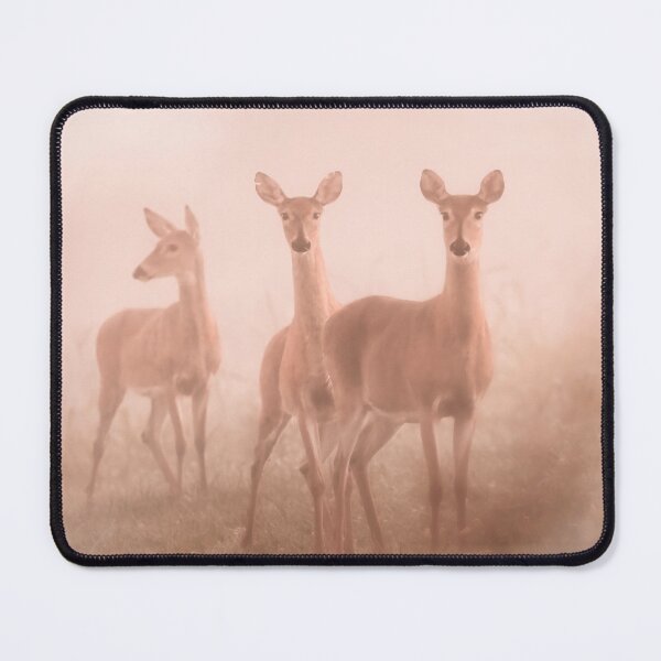 Item preview, Gentle Morning designed and sold by Jim Love.