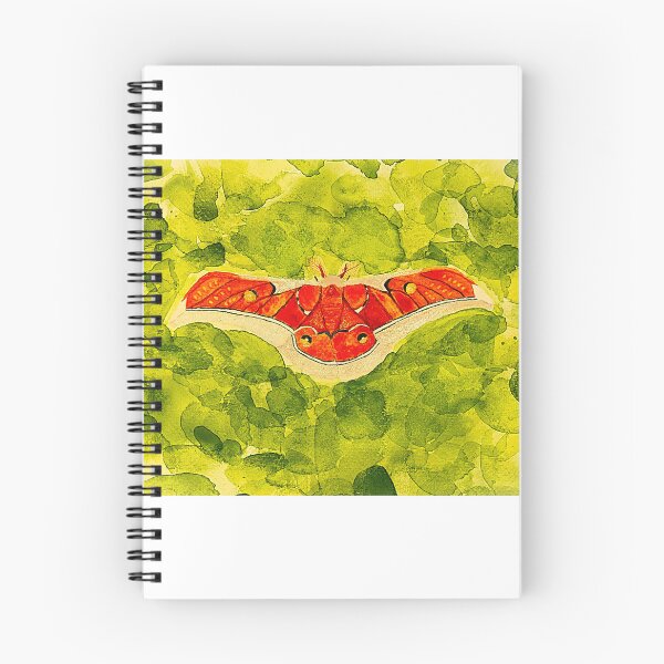 Item preview, Muga Silk Moth designed and sold by Violetheia.