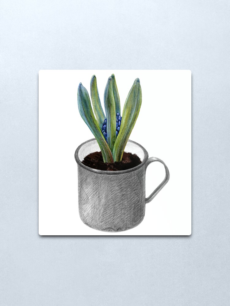 Alternate view of Hyacinth bud in a mug Metal Print