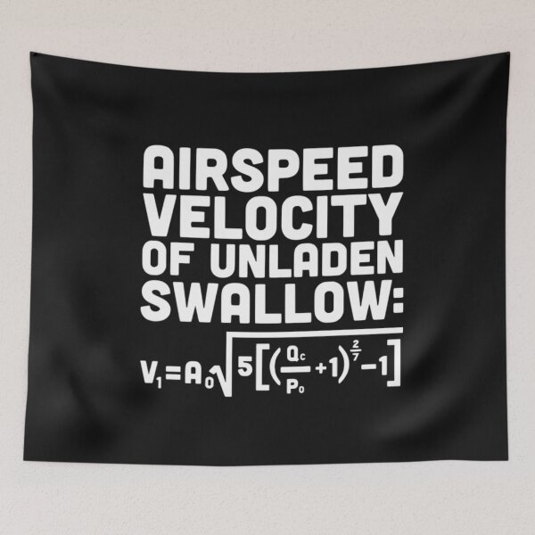 Item preview, Airspeed velocity of unladen swallow designed and sold by dianadouri.
